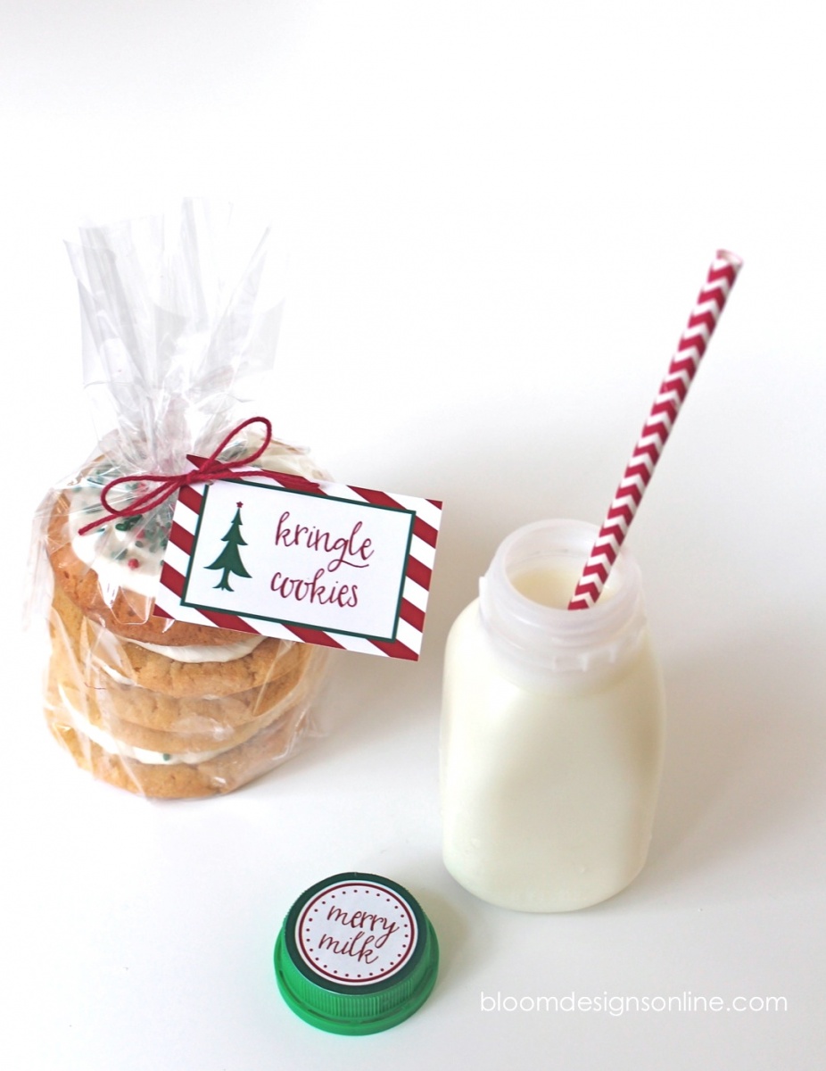 santa snack milk kit