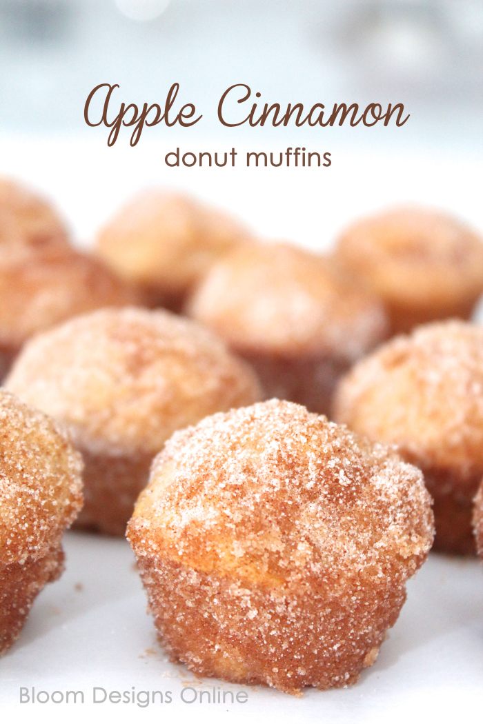 apple cinnamon donut muffins