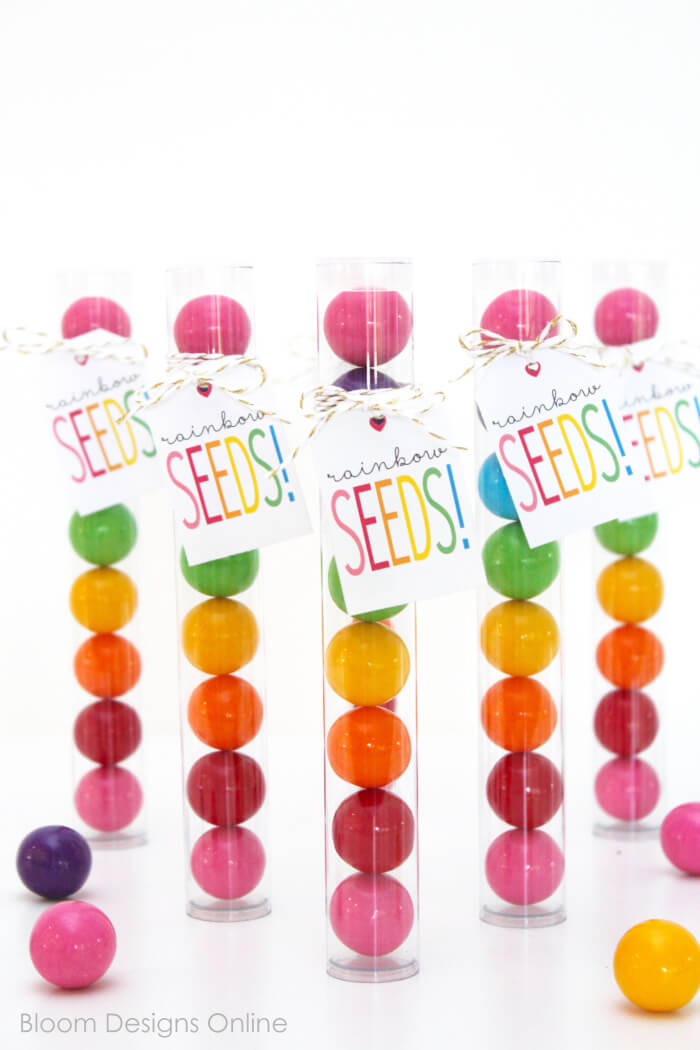 Rainbow Seed Gum Ball Favors- work great for St. Patrick's Day treats, as favors for a rainbow, a confetti, an unicorn or a Little Pony partiy