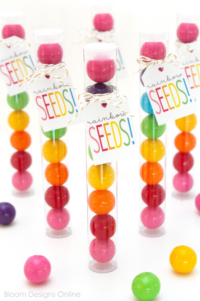 Rainbow Seed Gum Ball Favors- work great for St. Patrick's Day treats, as favors for a rainbow, a confetti, an unicorn or a Little Pony partiy