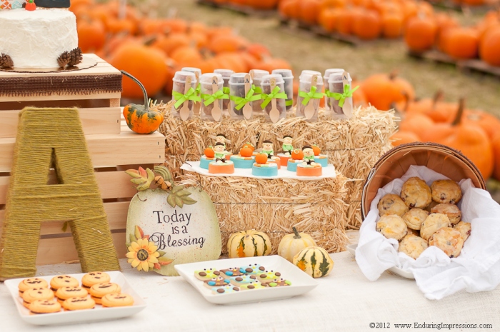 Friday Feature- Our Little Pumpkin Party - Bloom Designs