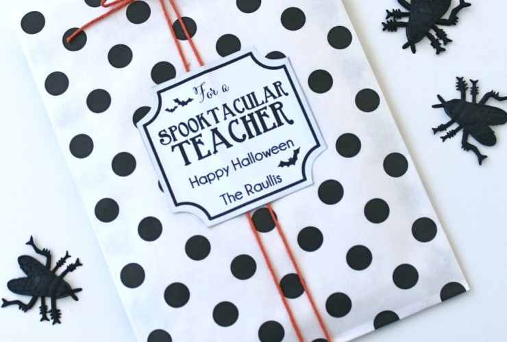 spooktacular teacher