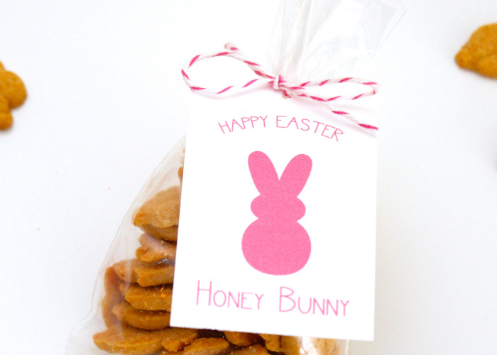 Honey Bunny Easter Favors and free printable