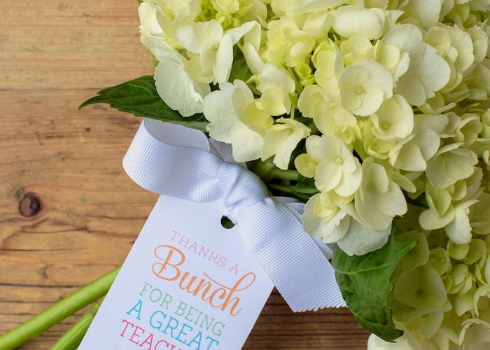 teacher-flower-gift-7